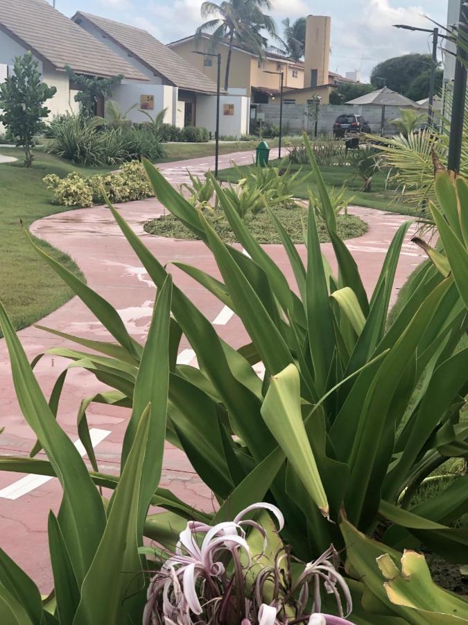 Apartment Cupe Living Porto de Galinhas